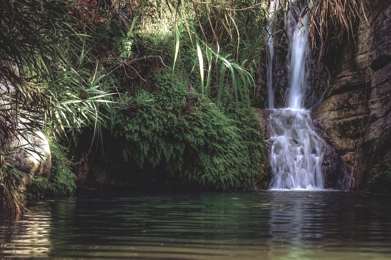 Water Feature